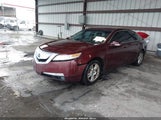 Acura Tl 3.5 19UUA8F5XAA017496 снимка
