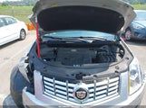Cadillac Srx Performance Collection 3GYFNCE34ES580556 снимка
