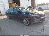 Honda Accord Ex-L V-6 1HGCR3F89FA013688 photo