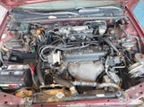 Honda Accord Ex 1HGCB7679NA121942 снимка