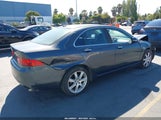 Acura Tsx JH4CL96965C007439 снимка