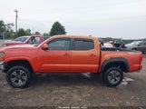 Toyota Tacoma Trd Sport 5TFAZ5CN7HX030632 photo