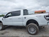 Ford F-150 Xlt 1FTFW1E54NKE78081 photo