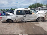 Ford F-150 Fx4/Harley-Davidson/King Ranch/Lariat/Platinum/Xl/Xlt 1FTFW1EV0AFC07103 снимка