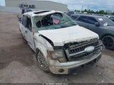 Ford F-150 Fx4/Harley-Davidson/King Ranch/Lariat/Platinum/Xl/Xlt 1FTFW1EV0AFC07103 photo