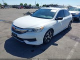 Honda Accord Lx 1HGCR2F39HA096637 снимка