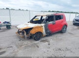 Miniaturka zdjęcia 2