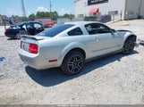 Ford Mustang V6 Deluxe/V6 Premium 1ZVHT80N685140196 fotografie