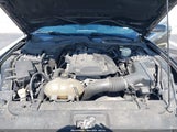 Ford Mustang Ecoboost 1FA6P8TH1F5429574 снимка