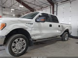Ford F-150 Xlt 1FTPW14V19FB30534 снимка