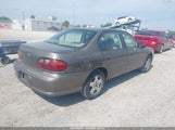 Chevrolet Malibu 1G1ND52J72M613735 снимка