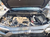 Toyota Rav4 Xle Premium 2T3C1RFV3PC235100 снимка