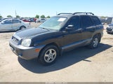 Hyundai Santa Fe Gls/Lx KM8SC13E24U736204 снимка