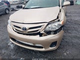 Toyota Corolla Le JTDBU4EE0B9145174 fotografie