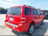 Ford Escape Xlt 1FMCU03739KA81065 снимка