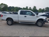 Ford F-150 Xlt 1FTEX1EM3CFB11517 снимка