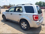 Ford Escape Xlt 1FMCU03G89KA12386 снимка