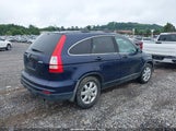 Honda Cr-V Se 5J6RE4H41BL016422 снимка