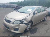 Toyota Corolla Le 1NXBU40E49Z145897 снимка