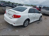 Toyota Corolla S 1NXBU4EEXAZ283697 снимка