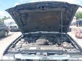 Ford Ranger Fx4 Level Ii/Fx4 Off-Road/Sport/Xlt 1FTZR45E26PA54215 photo