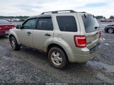 Ford Escape Xlt 1FMCU0D75BKA53658 fotografie