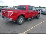 Ford F-150 Xlt 1FTFW1ETXCKD64517 снимка