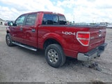 Ford F-150 Xlt 1FTFW1ETXEKF44874 снимка