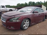 Nissan Maxima S/Sv 1N4AA5AP7AC835271 снимка