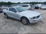 Ford Mustang V6 1ZVFT80N965109030 снимка