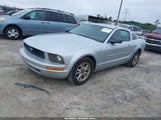Ford Mustang V6 1ZVFT80N965109030 снимка