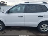 Hyundai Tucson Gls KM8JM12B47U648176 снимка