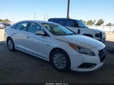 Hyundai Sonata Hybrid Se KMHE24L10GA011415 photo