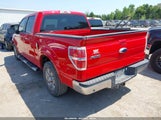 Ford F-150 King Ranch/Lariat/Platinum/Xl/Xlt 1FTPW12V89FA60842 fotografie