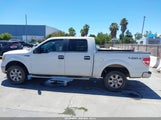 Ford F-150 Xlt 1FTFW1EF5BKD35029 снимка