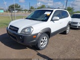 Hyundai Tucson Gls/Lx KM8JN12D35U079090 fotografie