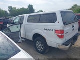 Ford F-150 Xlt 1FTFX1EF4EFC33764 fotografie