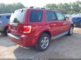 Ford Escape Limited 1FMCU0EG8AKD32387 снимка
