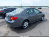 Toyota Corolla Le 2T1BU4EE7AC302174 снимка