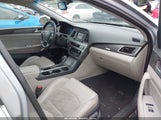 HYUNDAI SONATA SPORT 5NPE34AFXFH253118 photo