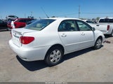 Toyota Corolla Le 1NXBR32E06Z641817 снимка