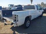 Chevrolet Silverado  Work Truck 1GCEC19J17E525368 fotografie
