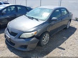 Toyota Corolla Le 1NXBU4EE4AZ277328 снимка