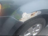 Ford Escape Limited 1FMCU9EG6AKA63021 снимка