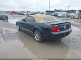 Ford Mustang V6 1ZVHT84N995112842 снимка