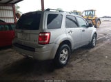 Ford Escape Xlt 1FMCU0DG6BKA69089 fotografie