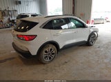 Ford Escape Sel 1FMCU9H68LUA81420 fotografie