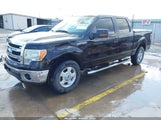 Ford F-150 Xlt 1FTEW1CM9DFD81813 снимка