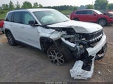 Jeep Grand Cherokee Limited 4X4 1C4RJHBG3RC105298 fotografie