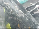 Nissan Rogue S JN8AS5MT0BW568480 снимка